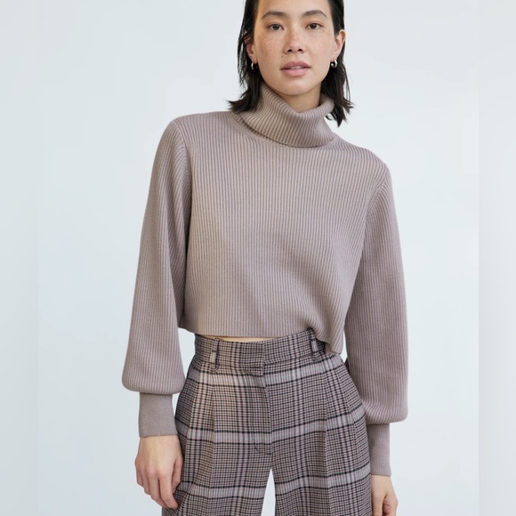 Aritzia Sweaters - Aritzia Wilfred Rebecca Turtleneck in Gull Grey